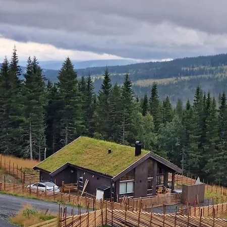 New With Sauna And In Out Svingvoll