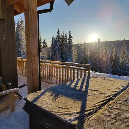 New With Sauna And In Out *
