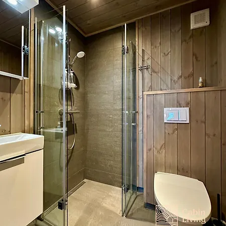 New With Sauna And In Out