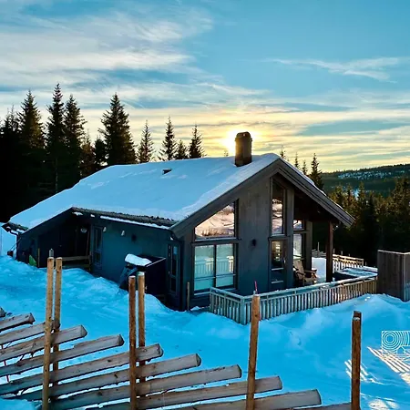 New With Sauna And In Out