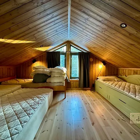 펜션 New With Sauna And In Out *